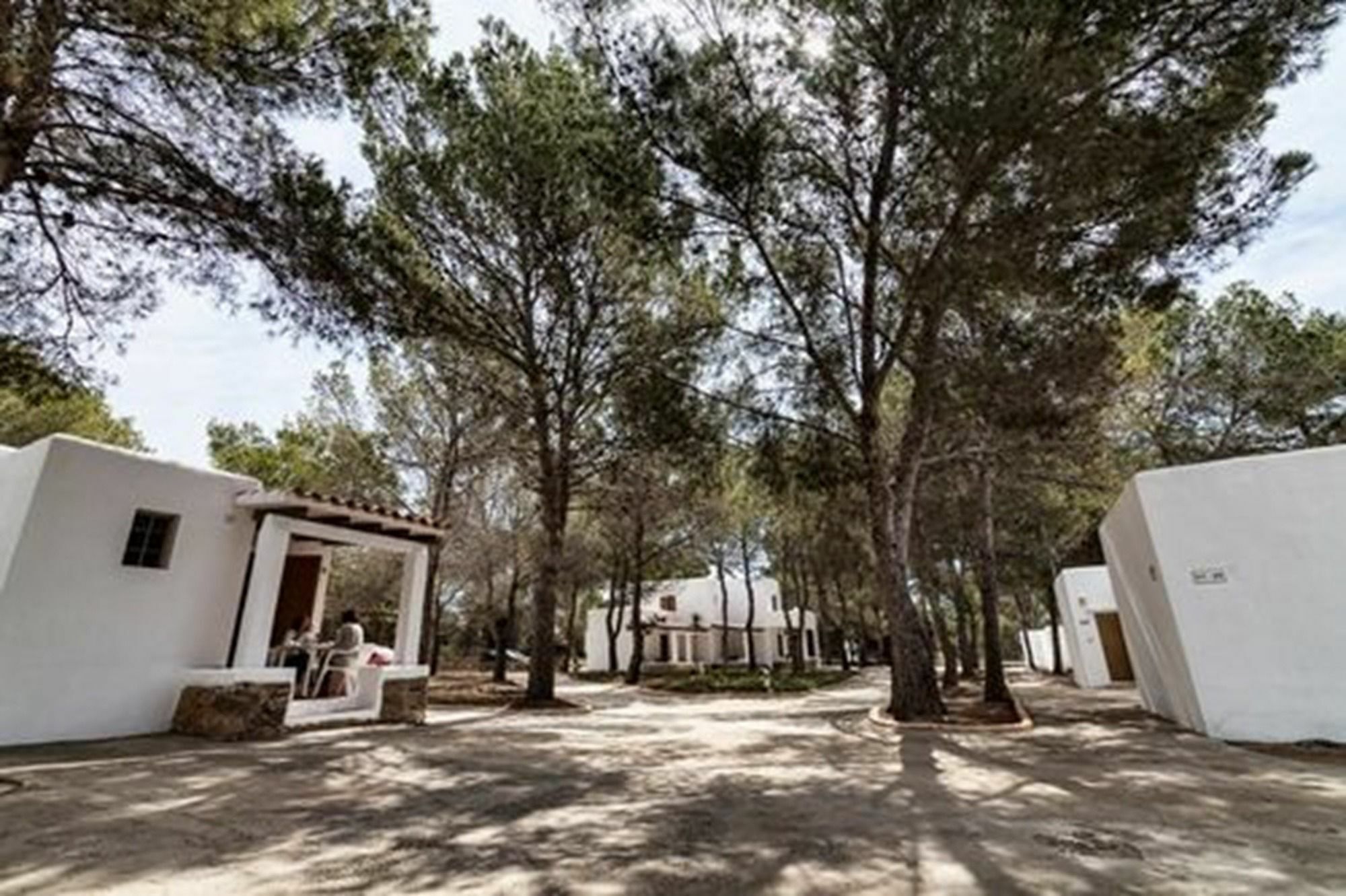 Bungalows Es Pins - Emar Hotels Playa Migjorn Luaran gambar